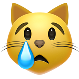 :crying_cat_face: