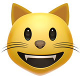 :smiley_cat: