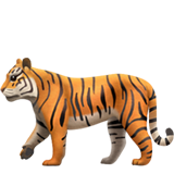 :tiger2: