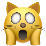 Screaming Cat :scream_cat: